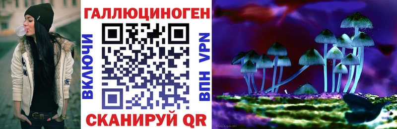 Галлюциногенные грибы Cubensis  Уржум 